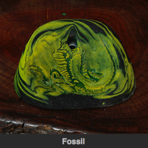 Fossil