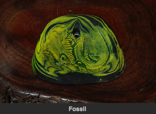 Fossil